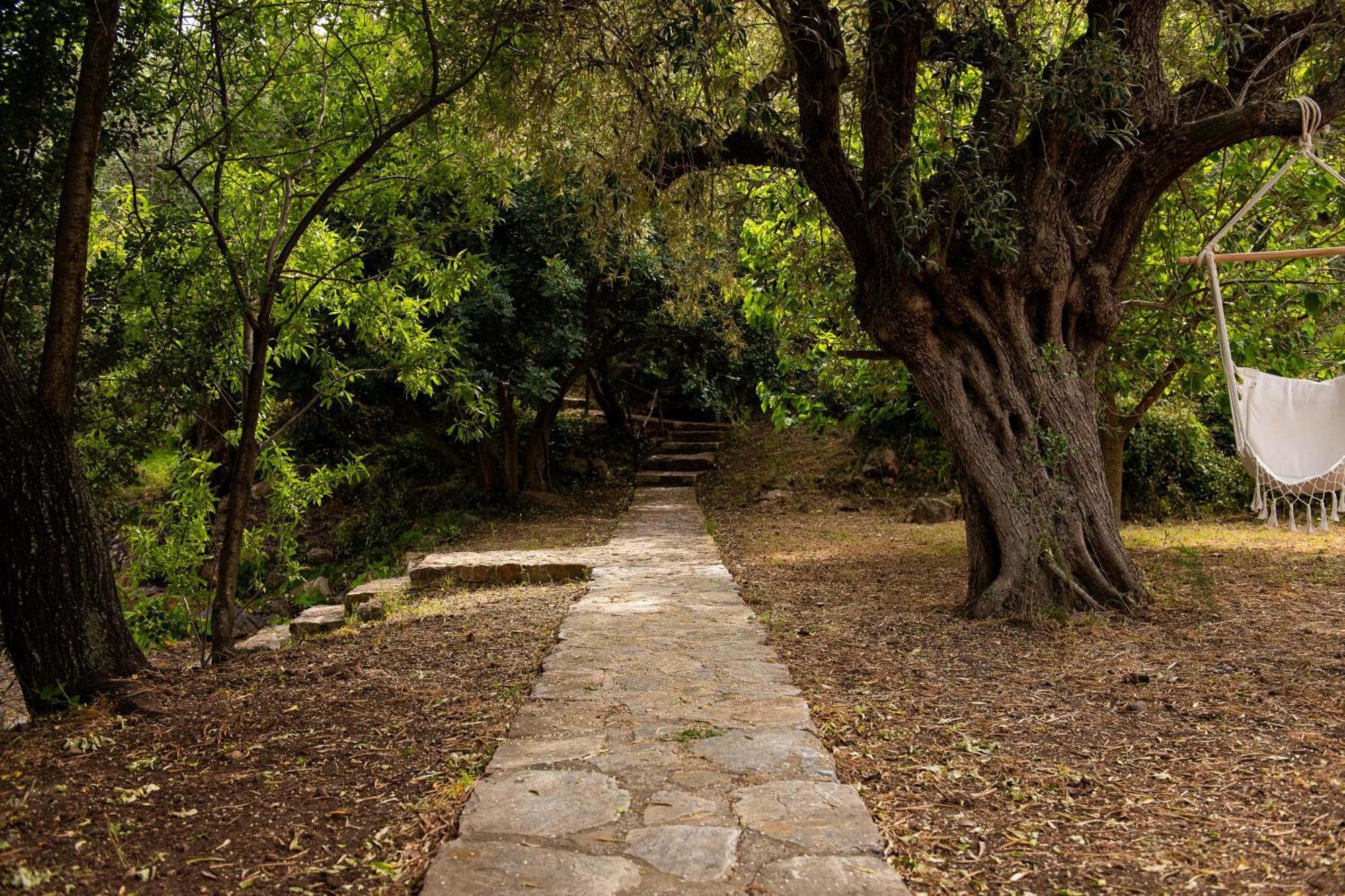 Lithea Villas And Studios By The Sea Agios Petros  Ngoại thất bức ảnh