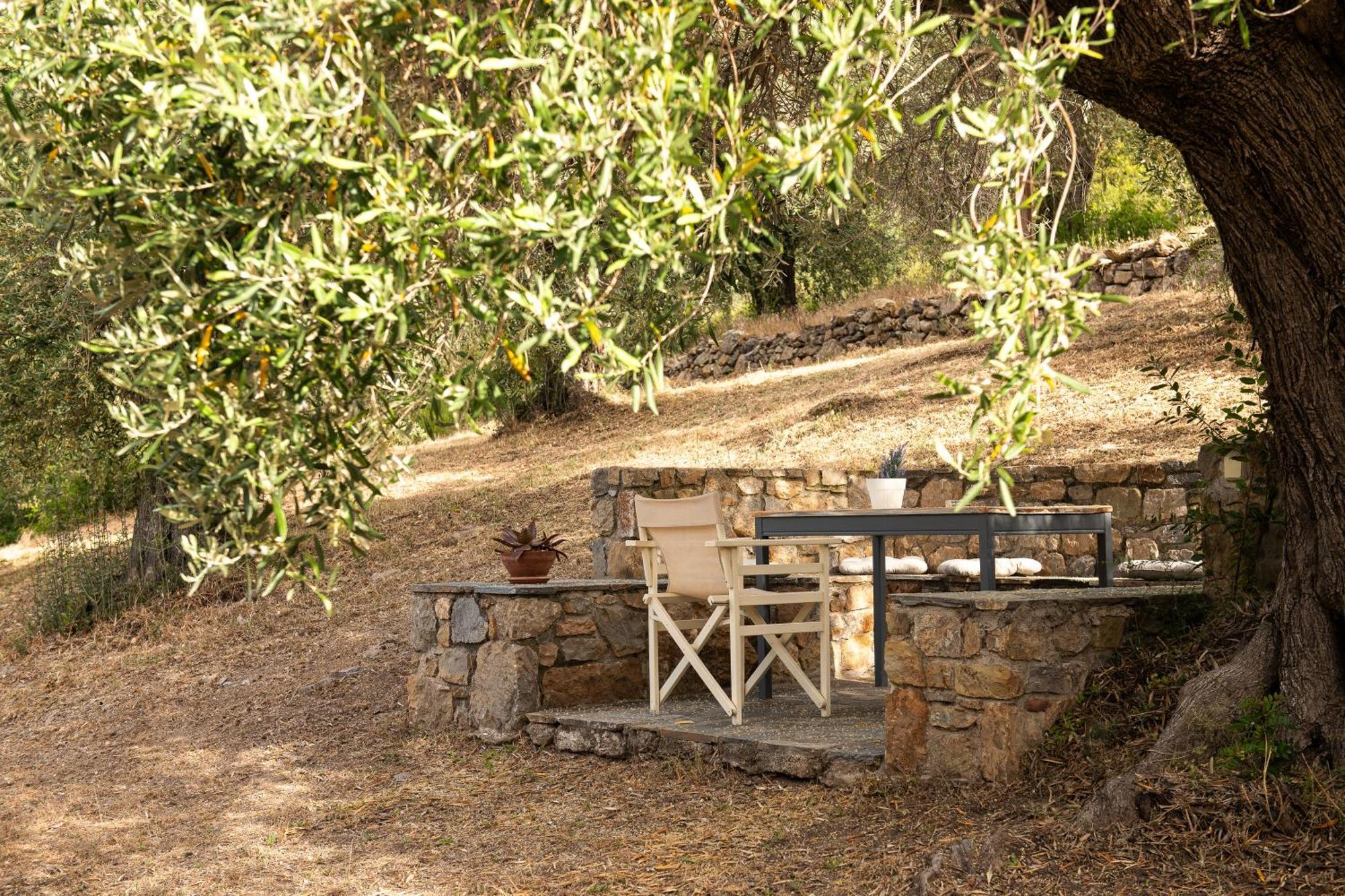 Lithea Villas And Studios By The Sea Agios Petros  Ngoại thất bức ảnh